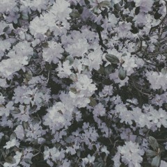 KAVERN - Lust Rhythm - 01 Moth