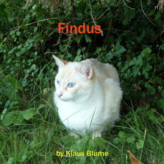 Findus