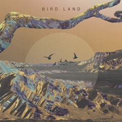Noden - Bird Land