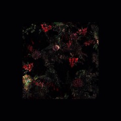 Imsodrunk — Julia Santana