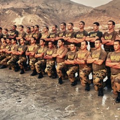 أجمل ماقيل عن الجيش المصري