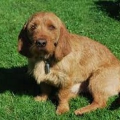 I get all misty eyed and shit