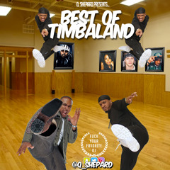 Best Of Timbaland (Presented By Q. Shepard)