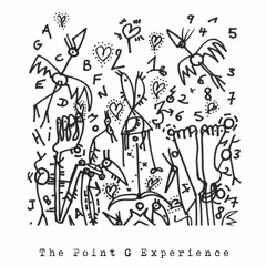 The Point G Experience (Continuous Mix )