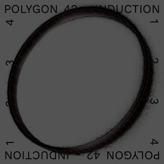 Polygon 42 - Induction 2 (Acid Express Remix)