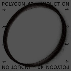 Polygon 42 - Induction 2