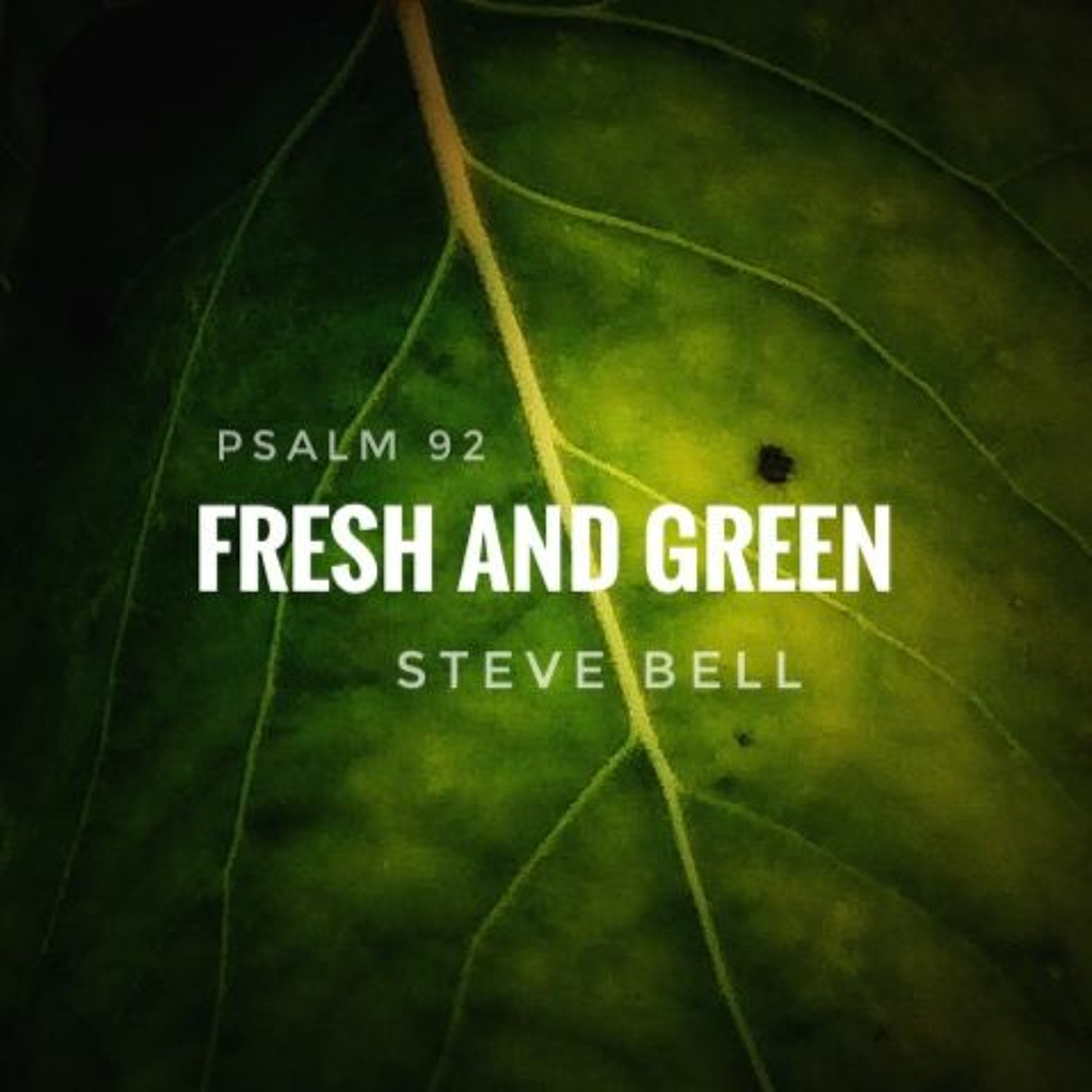 Fresh And Green