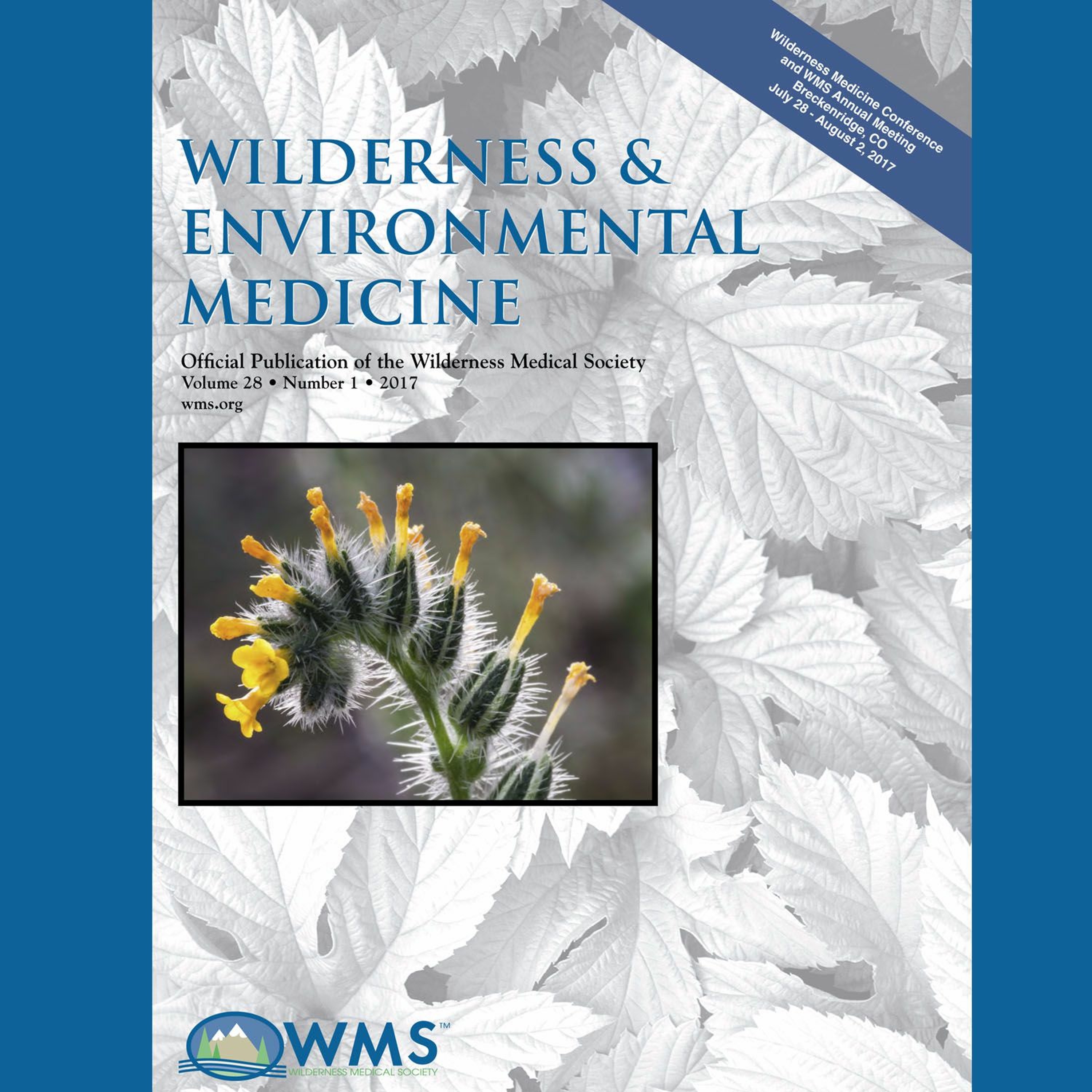 Wilderness Medicine Podcast