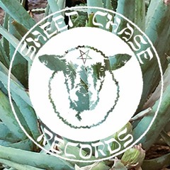 Sheep Chase Hits
