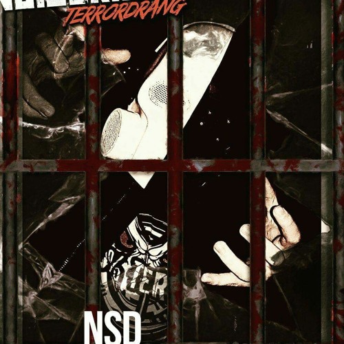 Spitnoise & Death ShockBrahh ( NSD Remix )