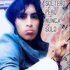 Amor Amor