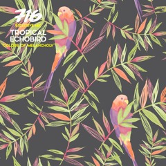 716 Exclusive Mix - Tropical Echobird : Color Of Melancholy