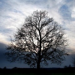 Février 2017 sur Terre