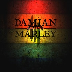 Skrillex & Damian "Jr Gong" Marley - Make It Bun Dem (Bro & Toons Remix) ◘ Free Download ◘