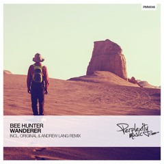 Related tracks: Bee Hunter - Wanderer (Andrew Lang Remix)