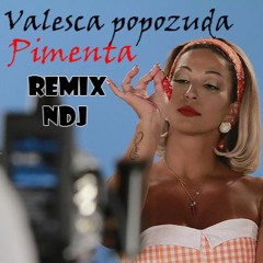 VALESCA POPOZUDA - PIMENTA ( NDJ REMIX )