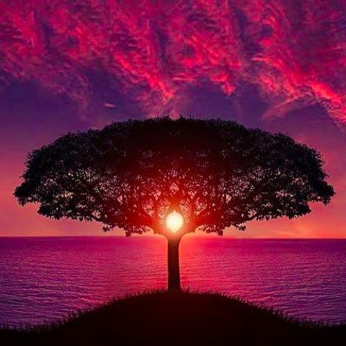 MiranduM & KAANG  - Aman (Civilization Edit)