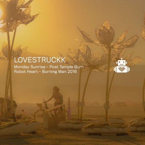 Nico Stojan & Holmar Filipsson (from Thugfucker) aka Lovestruckk - Robot Heart - Burning Man 2016