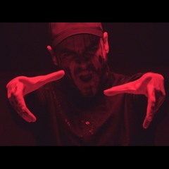 Emmure - Flag Of The Beast (Instrumental Cover)