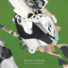 What I Mean (Feat. Tate Kobang)