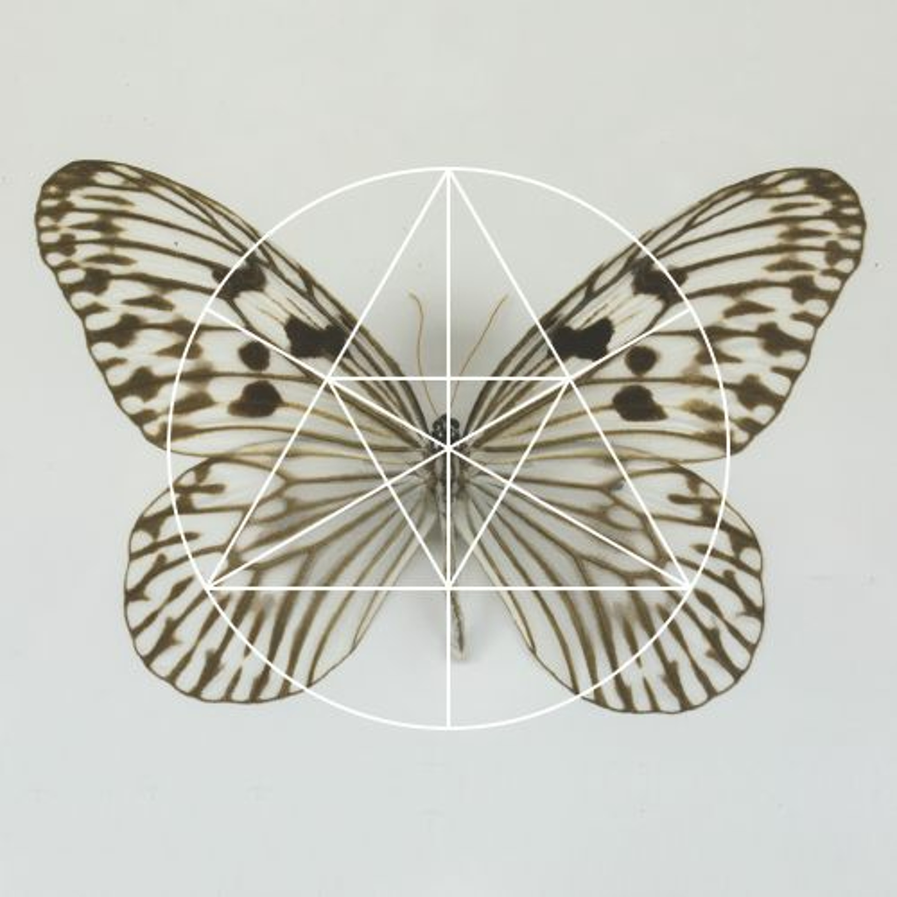 Mysteries of the Deep LXV - GUNNAR HASLAM | IN THE DRY SAND OF THE ARROYO FLOOR episode artwork