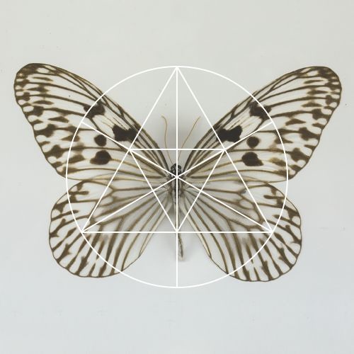 Mysteries of the Deep LXV - GUNNAR HASLAM | IN THE DRY SAND OF THE ARROYO FLOOR