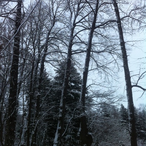 Shaman sampling (Ethnic sound)