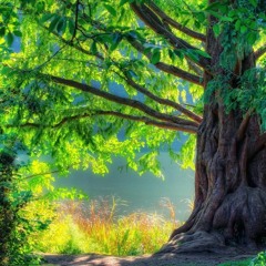 Ode to Mother Nature