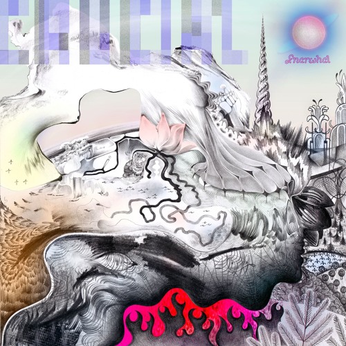 Gnarwhal - Marathon Ripper