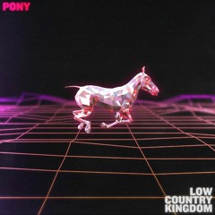 Pony