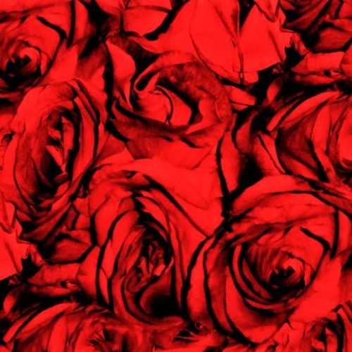 Bloody Valentine