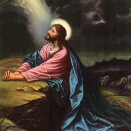 04 إبصالية تذكرت خطايا جهلي الصيامي