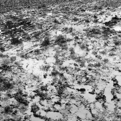 3rd Year Comp Apocalyptic Prayer Recording 20/01/2017