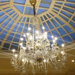 The Essence "Freestyle"