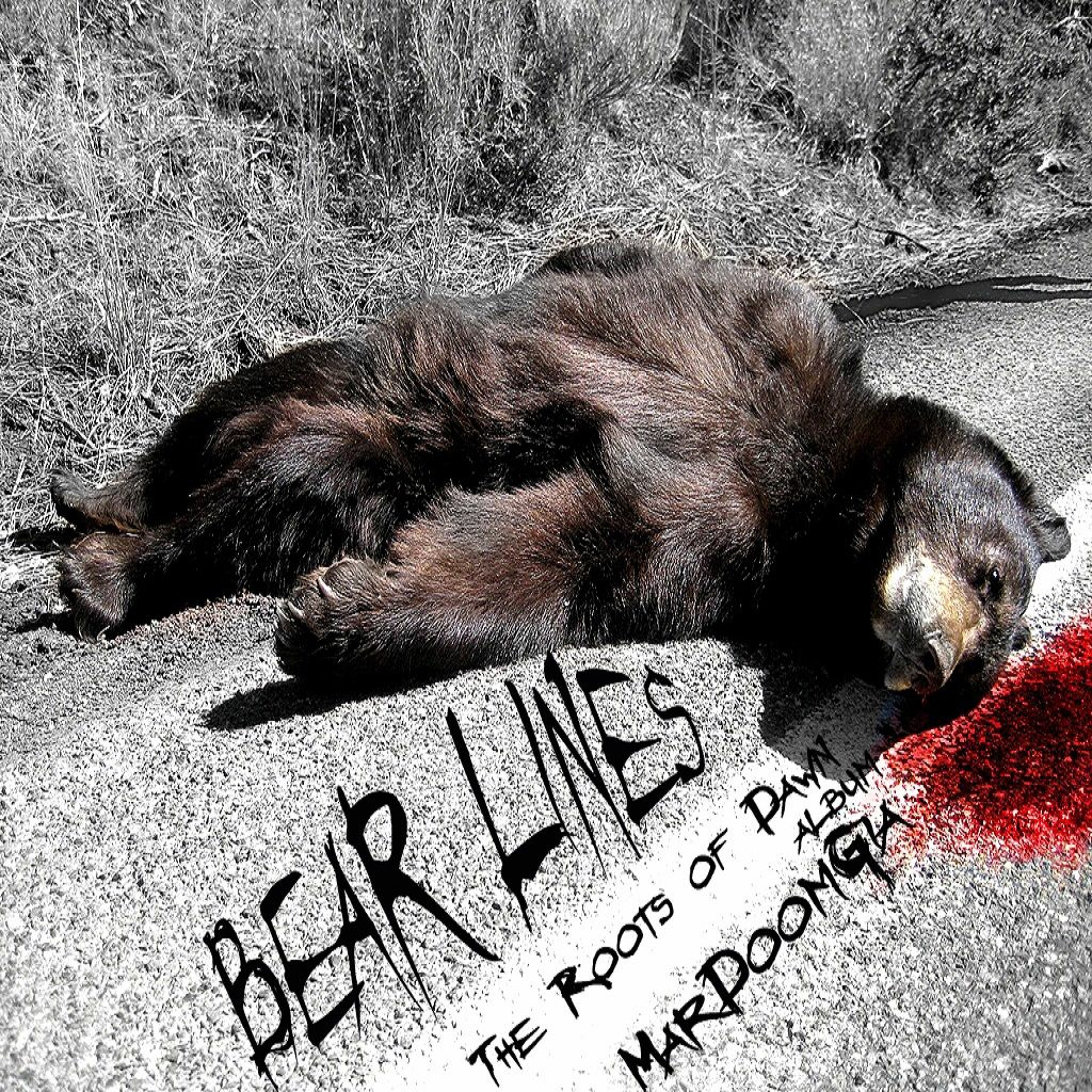 Bear lines episode artwork