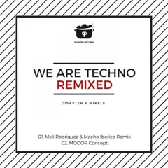 Disaster&Mikele - WeAreTechno (MODOR Concept) [SNIPPET] ** PUCHERO RECORDS