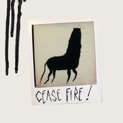 Cease Fire !