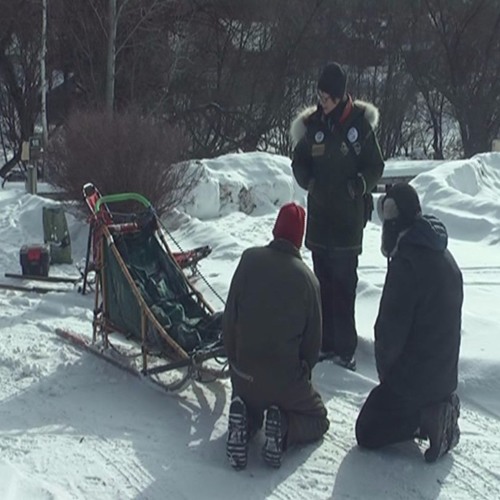 The best sled dog race in Michigan (final cut)