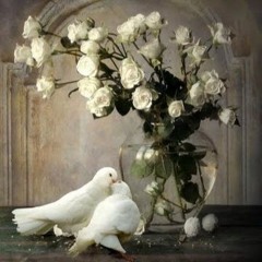 Twenty Thousand Doves (FREE BEAT)