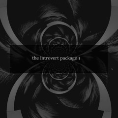 the introvert package 1