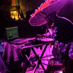 Nibumbu 2017.02.12 Psychedelic Shine ~ Boulder Theater Boulder, CO Music 02