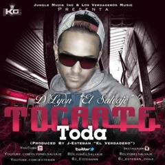 Tocarte Toa (Remix-Artistas Varios)- Dj Beto(Paul Freire)