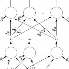 Networks With Attitude