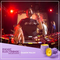 Damon Walsh @ Piknic Electronik 2017