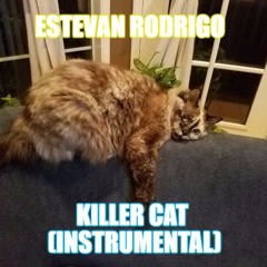 Estevan Rodrigo - Cat Killer (Instrumental)