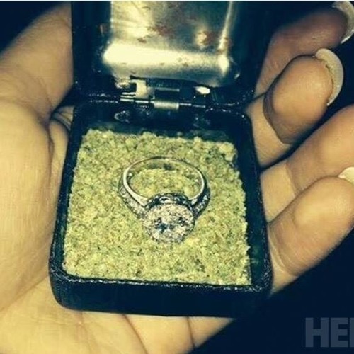 ManiGzz x PrimeTime Ty - BIN MINE