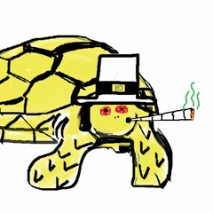 Turtle Time (sans skeet skeet)