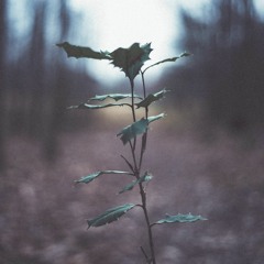 w/o you. [ft. profound]