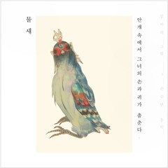 < 물 새 > 손수연