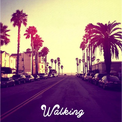 Walking ( Original Mix )